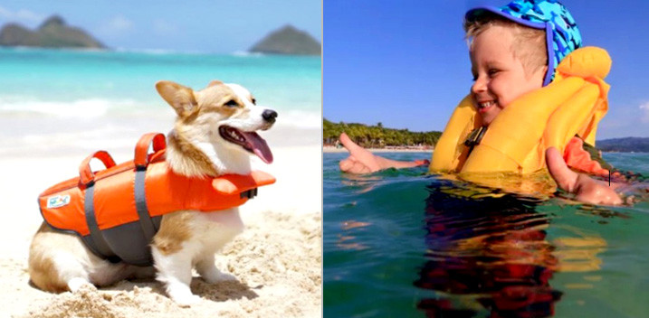 Life Vests For Pets / Young Children