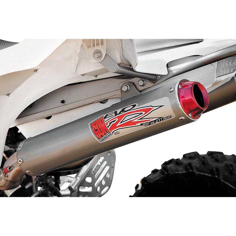 Big Gun Exhaust® EVO R Dual Full Exhaust System