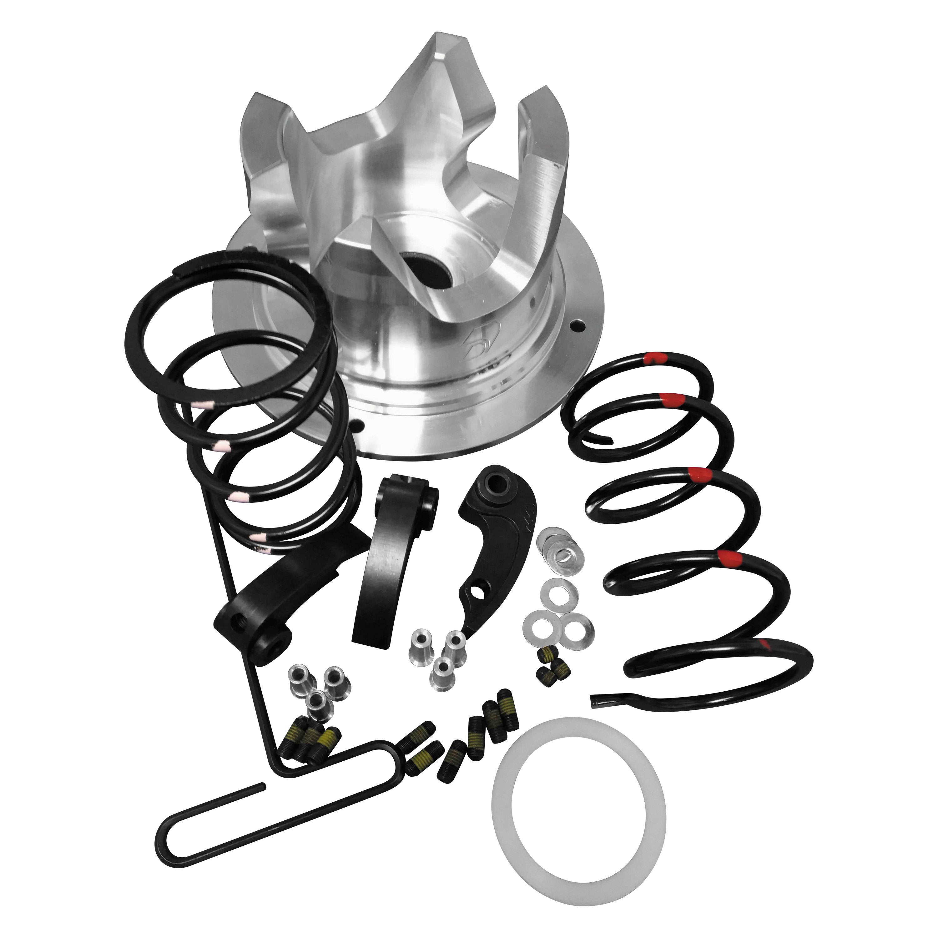Dalton® DUV P9RO16 Clutch Spring Kit