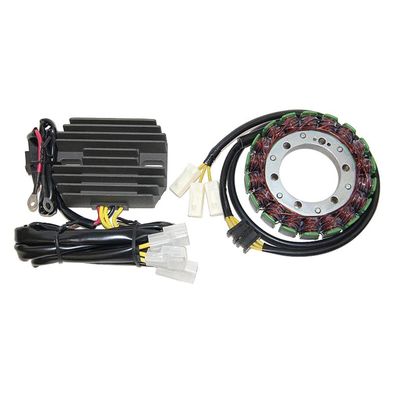 ElectroSport® ESK691 Stator and Regulator Kit