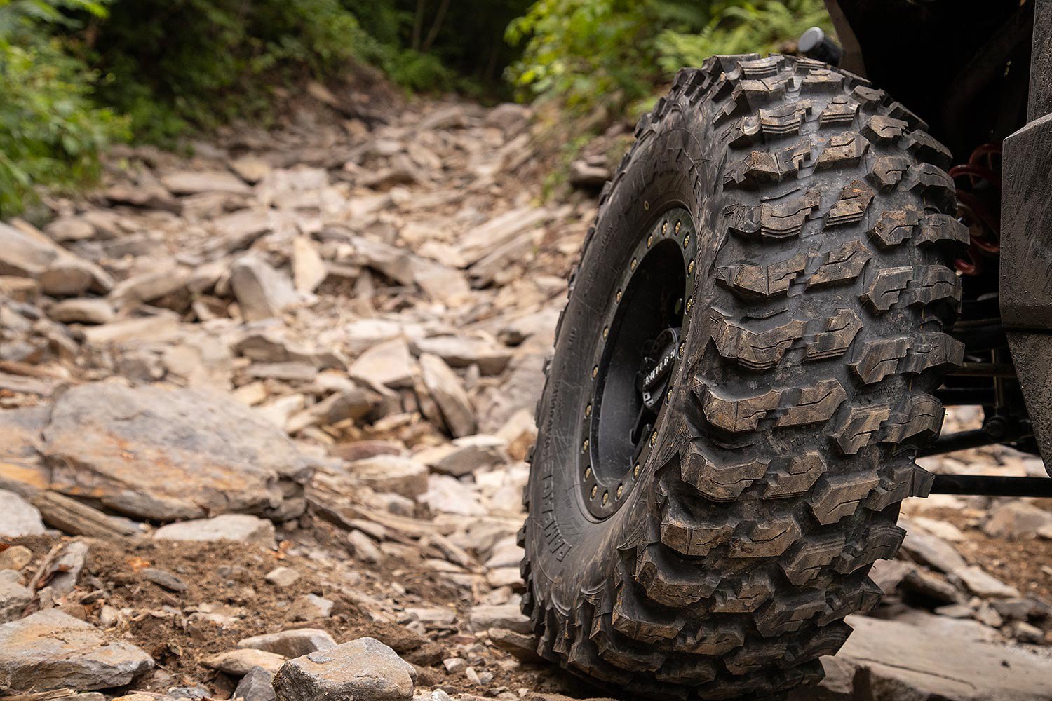 best maxxis rear tire for trail riding